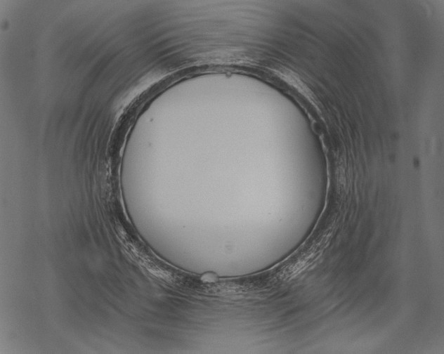 X0000068310971200605051527