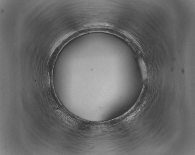 X0000068310973200605051526