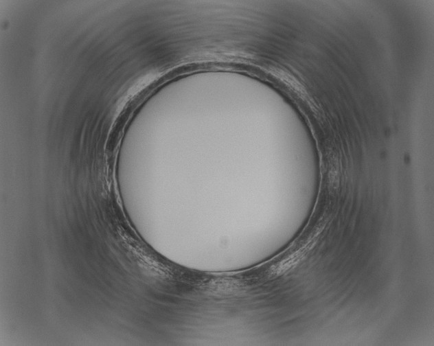 X0000068310974200605051526