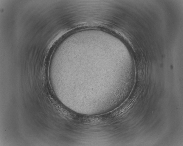 X0000068310975200605051526