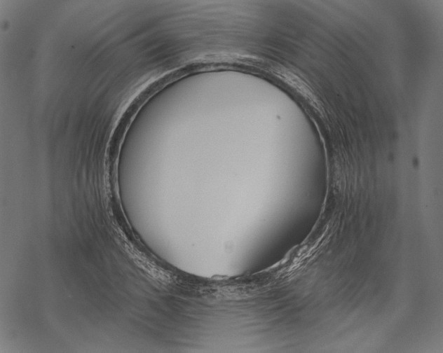 X0000068310976200605051526