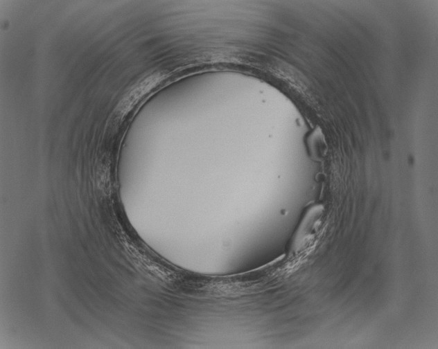 X0000068310977200605051526