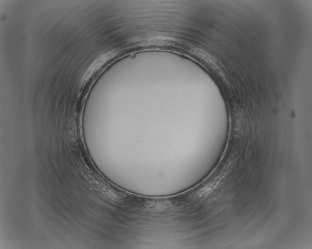 X0000068310978200605051526