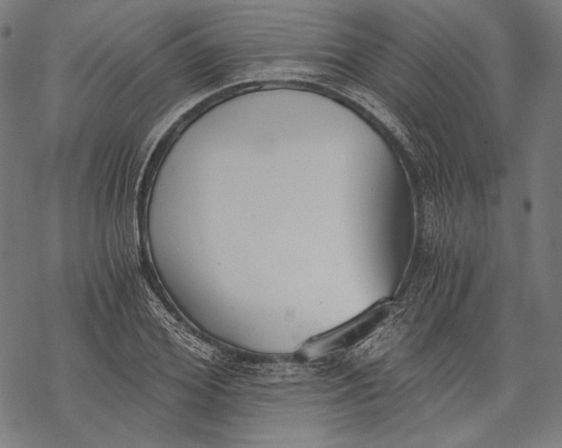 X0000068310980200605051526