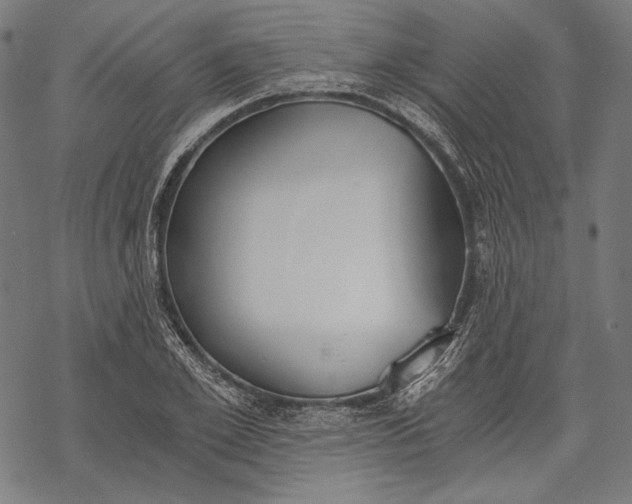 X0000068310981200605051526