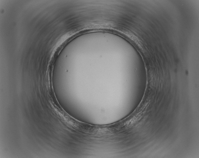 X0000068310982200605051526