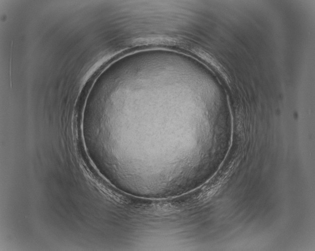 X0000068310983200605051526