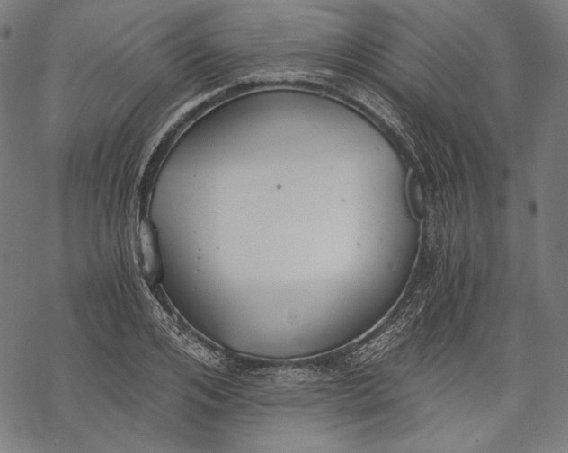 X0000068310984200605051526