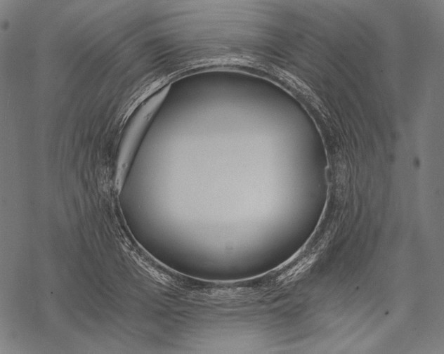 X0000068310985200605051526