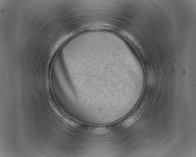 X0000068310986200605051526