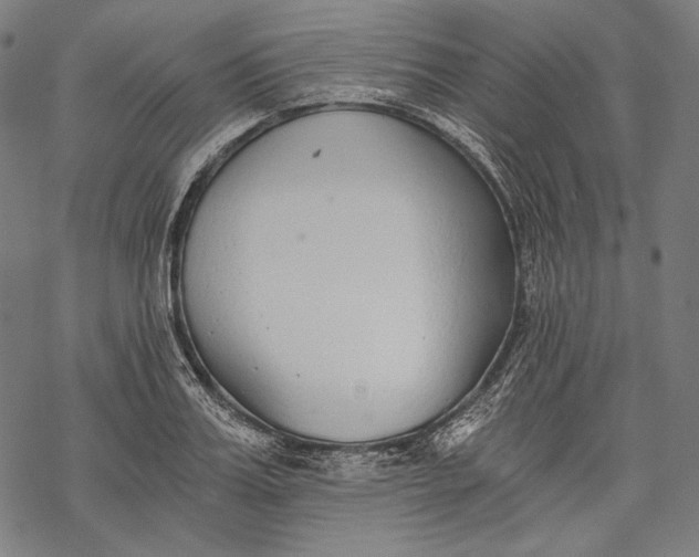 X0000068310987200605051526