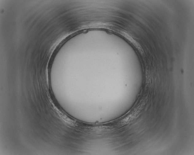 X0000068310988200605051526