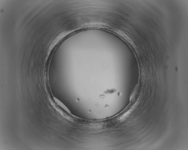 X0000068310989200605051526