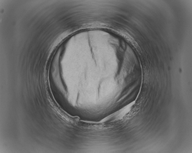 X0000068310990200605051526