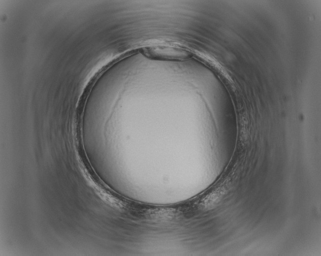 X0000068310991200605051526