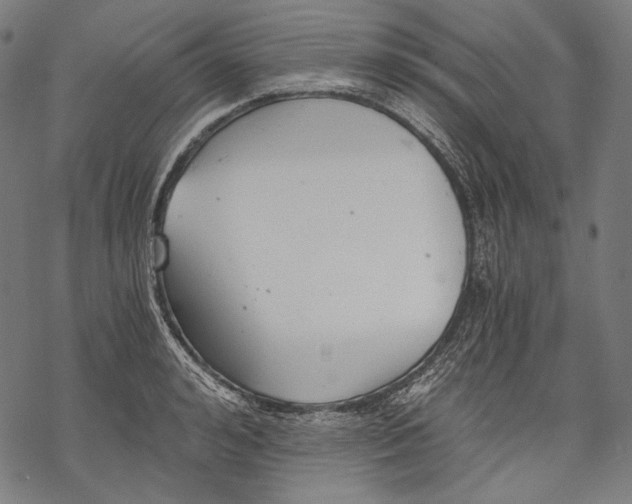 X0000068310992200605051526