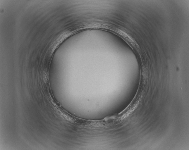 X0000068310993200605051526