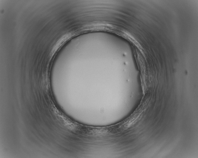 X0000068310994200605051526