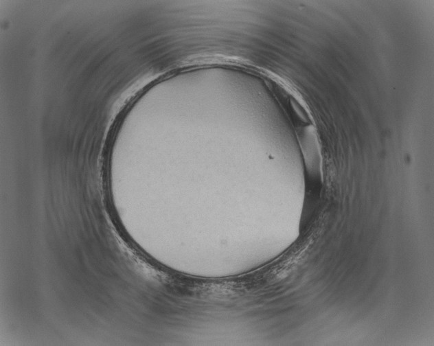 X0000068310995200605051526