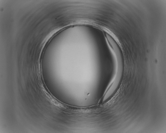 X0000068310996200605051526