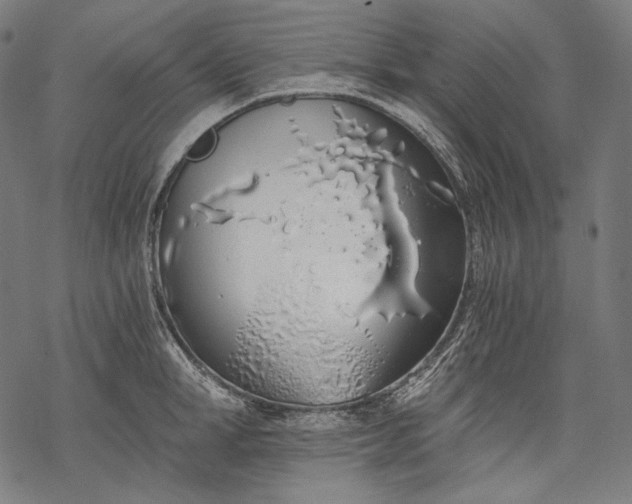 X0000068310998200605051526