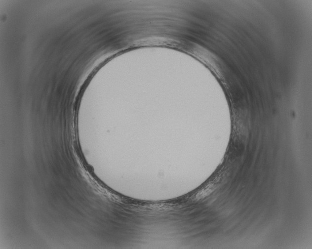 X0000068311000200605051526