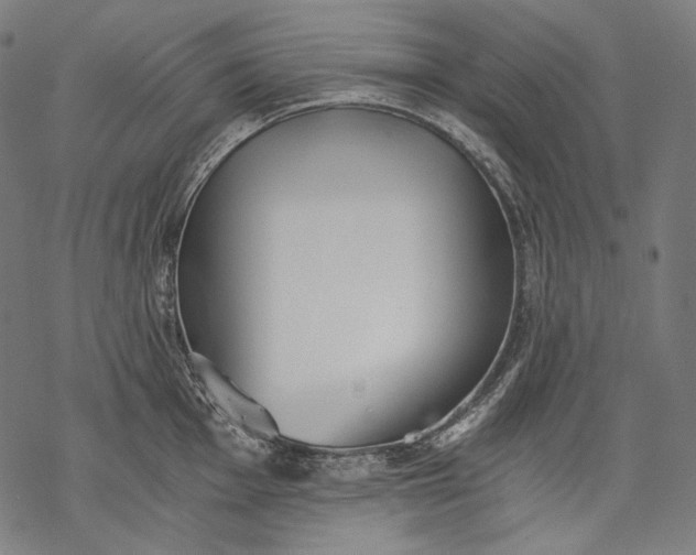 X0000068311001200605051526