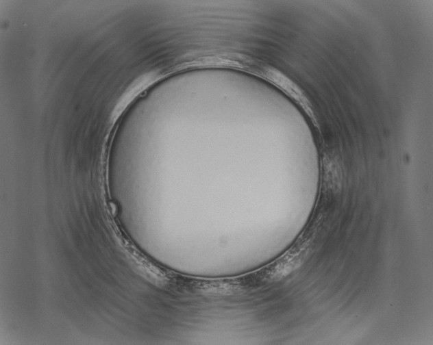 X0000068311002200605051526