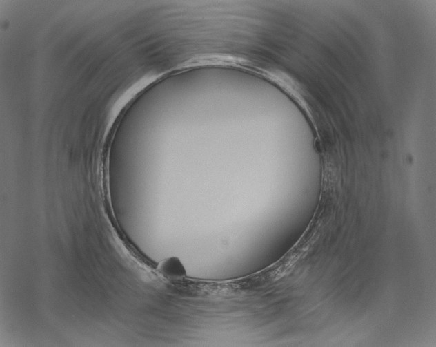 X0000068311003200605051526