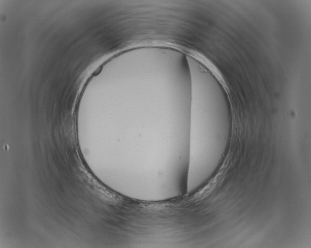 X0000068311004200605051526