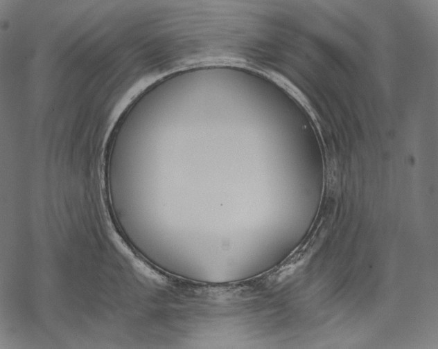 X0000068311005200605051526