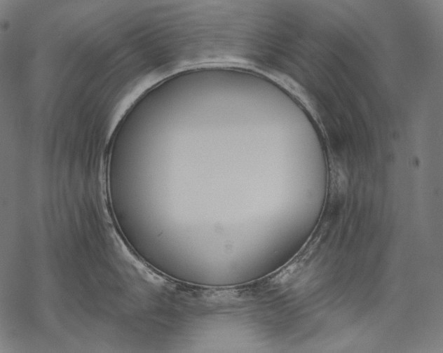 X0000068311006200605051526