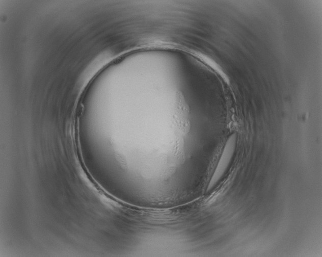 X0000068311007200605051526