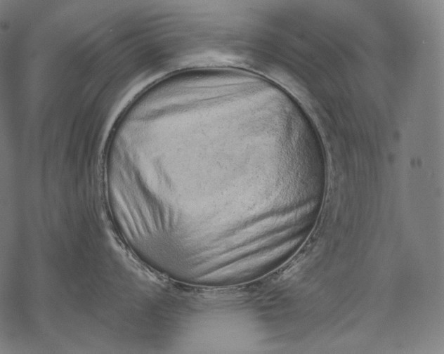 X0000068311008200605051526