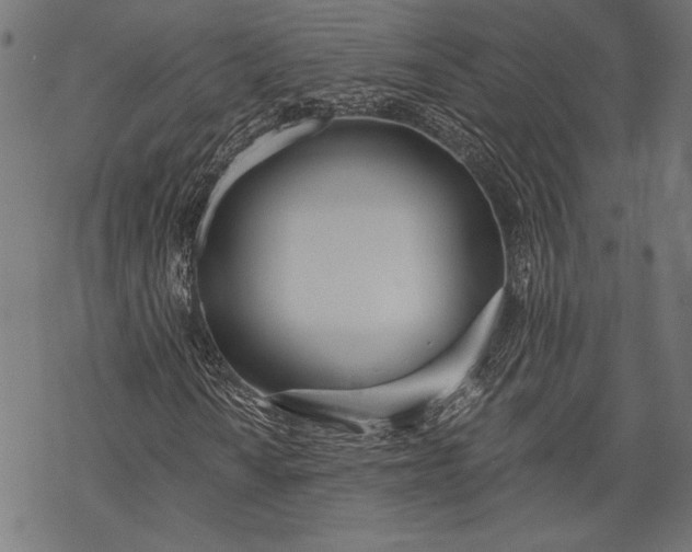 X0000068311010200605051525