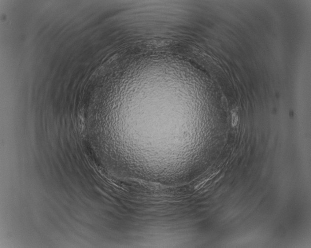 X0000068311011200605051525