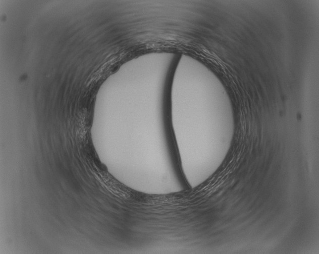 X0000068311012200605051525