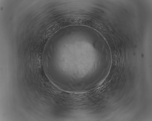 X0000068311013200605051525