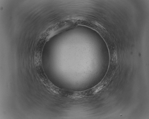 X0000068311014200605051525