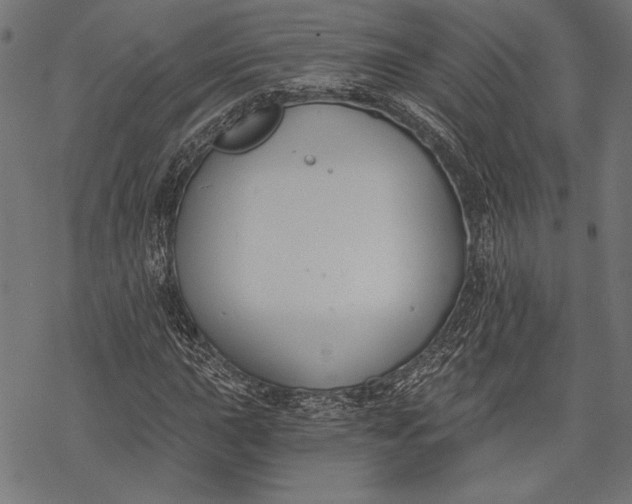 X0000068311015200605051525