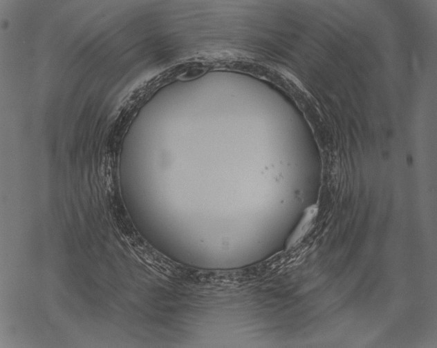 X0000068311016200605051525