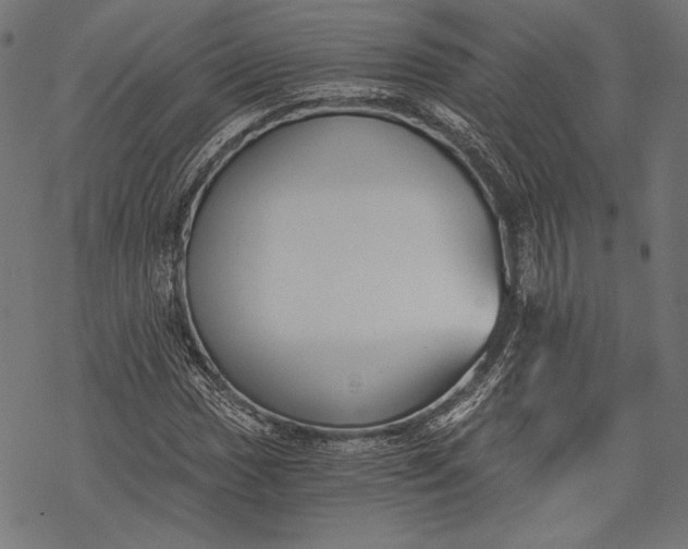 X0000068311017200605051525