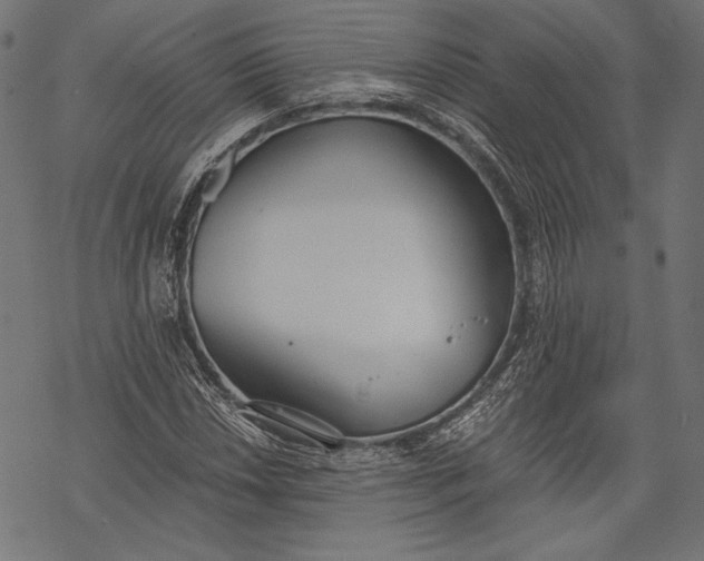 X0000068311018200605051525