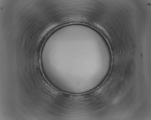 X0000068311019200605051525