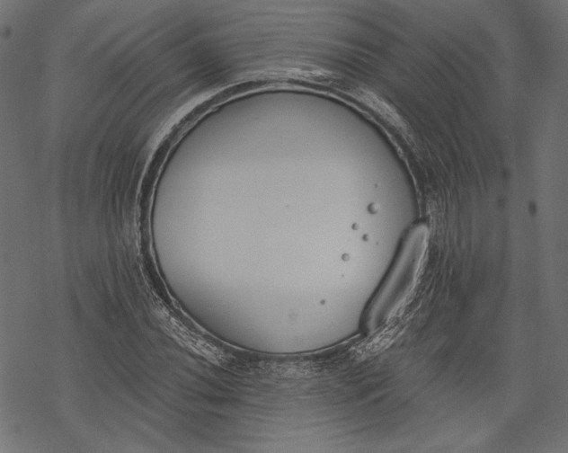 X0000068311020200605051525