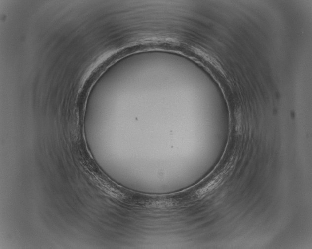 X0000068311021200605051525