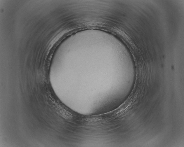 X0000068311023200605051525