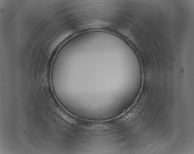 X0000068311026200605051525