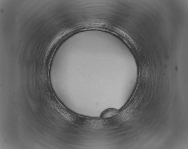 X0000068311027200605051525