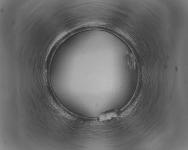 X0000068311029200605051525